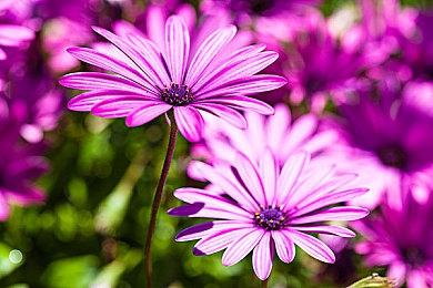 传闻：《重力异想世界2》复刻版5月公布 登陆PS5和PC